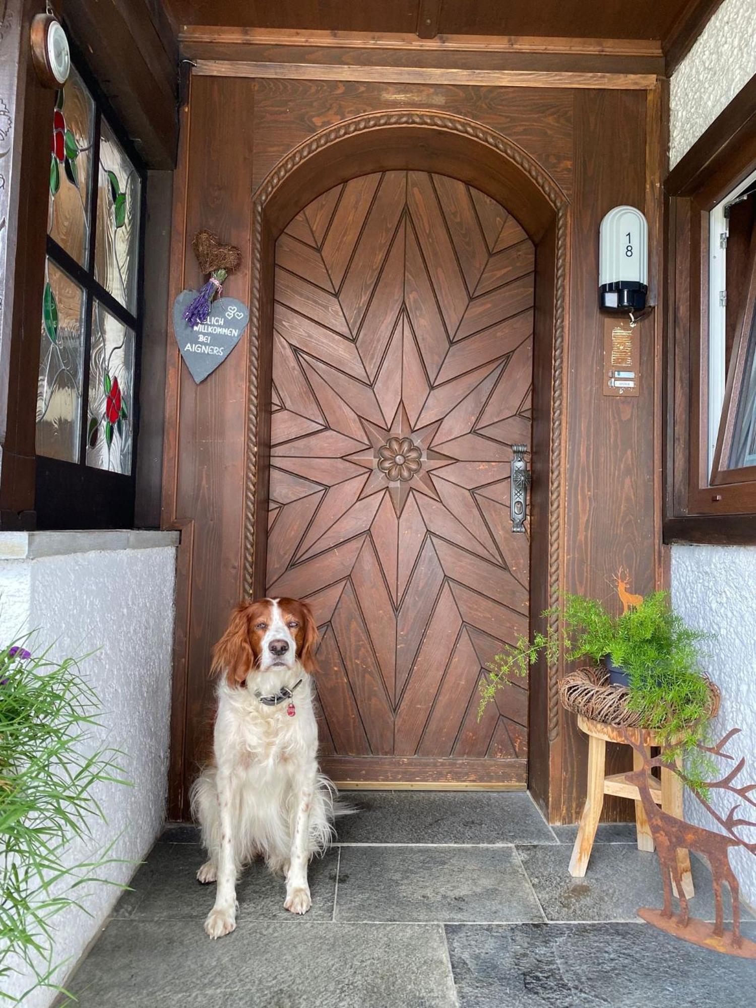 Landhaus Aigner Mittersill Bagian luar foto